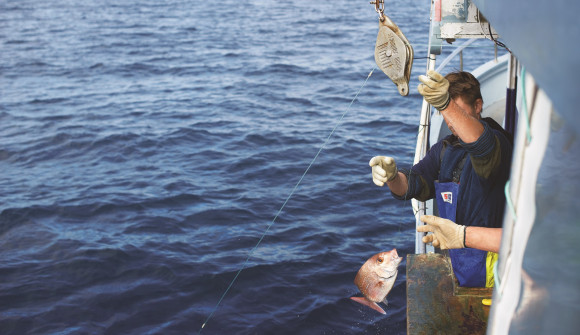 Two longline fishers inspect their latest catch: a snapper