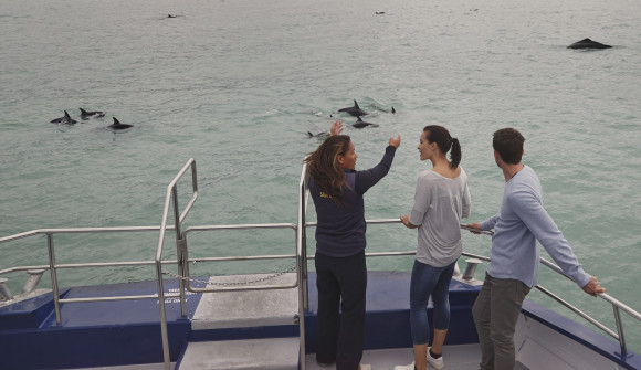 Aboard a boat near Kaikoura, a guide points out whales to two visitors 