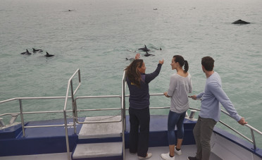 Aboard a boat near Kaikoura, a guide points out whales to two visitors 