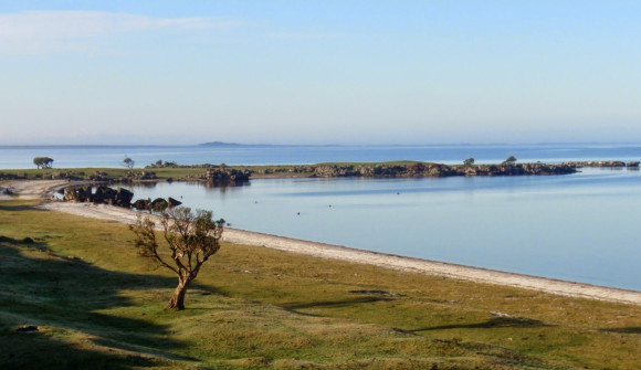 Coastal area from the Chathams