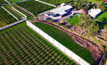 Limery from an aerial view