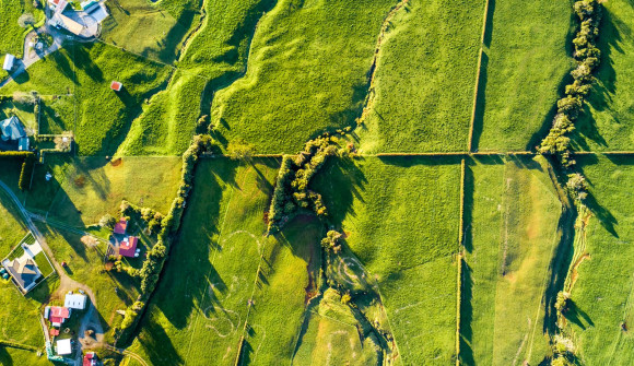 Taranaki farmlands