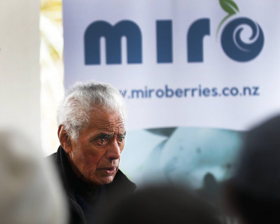 Dr Hohepa Mason giving an address. Behind him is a Miro berries sign.