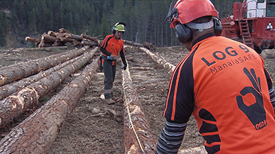 Two ManaiaSAFE students grade a log.