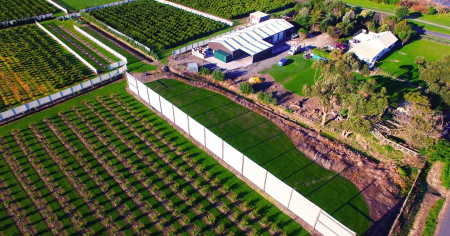 Bird's eye view of a building surrounded by large green sections of crops