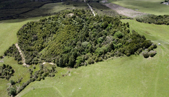 Pākinga Pā