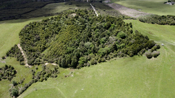 Bird's eye view of a large hilly grass area with trees and bushes in the centre