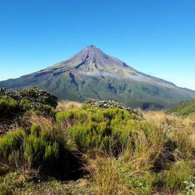 Mount Taranaki is shown, in front of a vibrant blue sky and green bushes and grass in front.